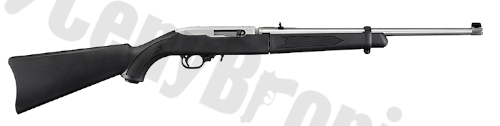 Ruger 10-22 Takedown (11100)